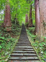 Moss-covered stone steps leading to a shrine surrounded by cedar trees on Mt Haguro, Yamagata, Japan