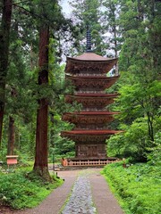 Moss-covered stone steps leading to a shrine surrounded by cedar trees on Mt Haguro, Yamagata, Japan