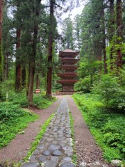Moss-covered stone steps leading to a shrine surrounded by cedar trees on Mt Haguro, Yamagata, Japan