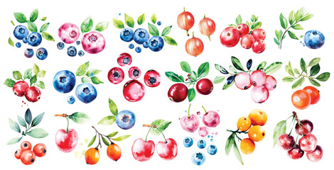 watercolor gooseberries, blueberries, cranberries, cherries berry set with green leaves illustration hand drawn berries clip art