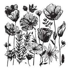 Set of abstract flower and leaves silhouettes. Hand-drawn floral design elements. Black and white outlines of wild and garden flowers and leaves isolated on a white background.