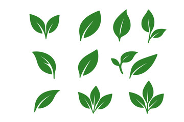Green leaf icon set. Nature symbol collection. Vector illustration of leaves, plant, sprout, and foliage. Eco, bio, organic, and vegan food logo concept. Growth and ecology.