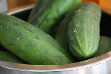 Closeup of Fresh Cucumbers in Stainless Steel Bowl