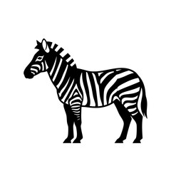 Fototapeta premium Striking black and white zebra illustration standing proudly on a white background.