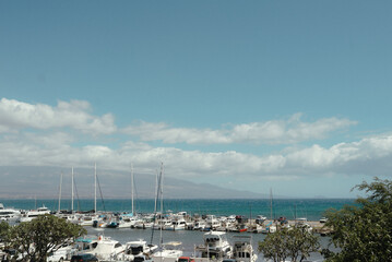 Boats docked in a marina in Maui