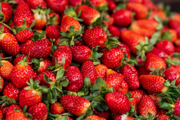 Fresh Red Strawberries Close-Up