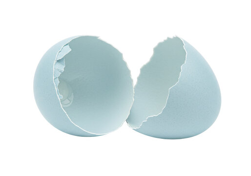 Isolated Blue Eggshell halves, cracked open bird egg, Easter hatching, fractured texture, broken shell