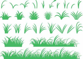 Green grass illustrated on white


