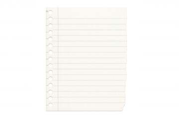 Torn lined paper sheet with punch holes, notebook page template, education and stationery concept, transparent background