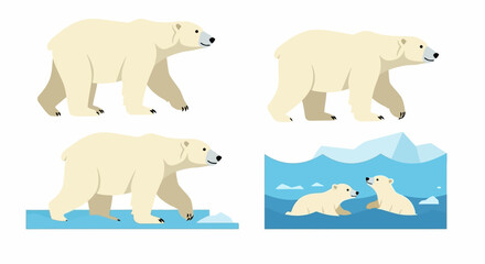Four polar bear illustrations show them walking wading and cubs swimming in icy water