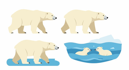 Four polar bear illustrations show them walking wading and cubs swimming in icy water