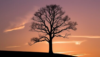 Silhouette of a lone tree on a hill during sunset, warm orange and purple sky, peaceful atmosphere, minimalist composition, high contrast.