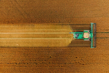 A green combine harvester works through a golden brown field, leaving a clear harvested path. The contrast highlights modern agricultural precision.