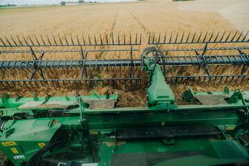 A green combine harvester operates in a golden wheat field, with its front blades visible. The view shows the machinery in action, with trees on the horizon.