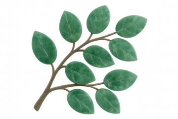 Green plant branch with stylized leaves on transparent background representing nature and botany