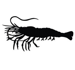 Cute cartoon hand drawn vector Shrimp silhouette.