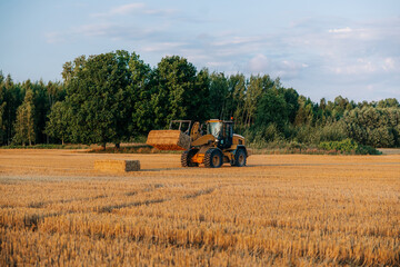 Fototapeta premium A large machine lifts a rectangular hay bale in a harvested field with golden stubble. Tall trees form a natural boundary under warm late day light.