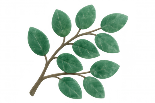 Green plant branch with stylized leaves on transparent background representing nature and botany