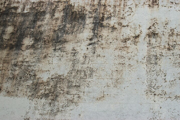 Peeling painted wall