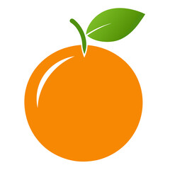 vector illustration of orange fruit