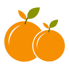 orange fruit vector illustration