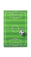 Fototapeta premium Soccer Field and Ball Overhead View.