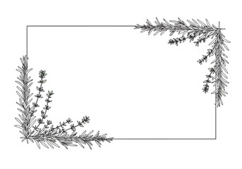 Rosemary and Lavender Frame Illustration.