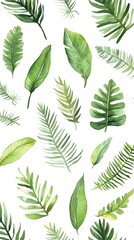 Watercolor illustration showcases various green foliage arranged artfully against a clean white background, with detailed textures and natural light creating an attractive design.