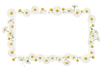Daisy Flower Frame Border Design.