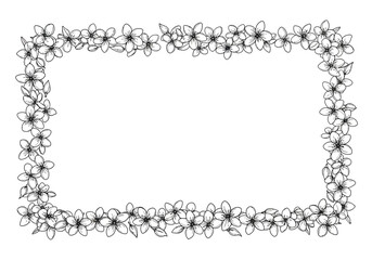 Floral Frame Border Design Element.