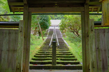 奈良県宇陀市にある青蓮寺の山門と苔の生えた階段