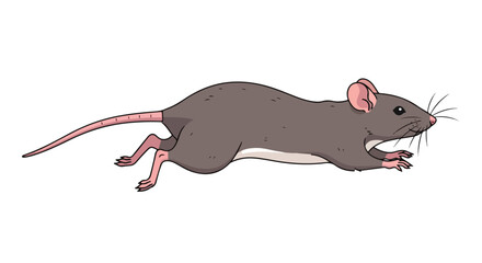 Cartoon illustration depicting a gray-brown rat in motion against a plain white background with clear delineation