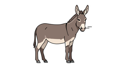 Illustration of a Standing Donkey with Brown and Gray Fur on a White Background showing its details of anatomy and form