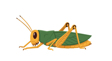 Animated depiction of a grasshopper with bright colors and a simplified design offering a modern take on wildlife illustration