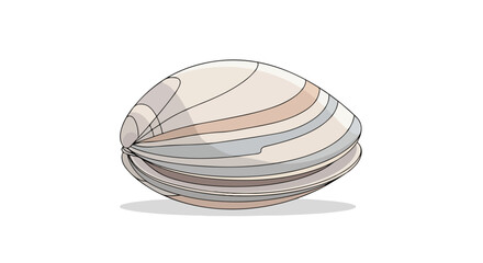 Detailed line art of a clam on a white background showcases the intricate shell patterns and elegant contours in a minimalist composition