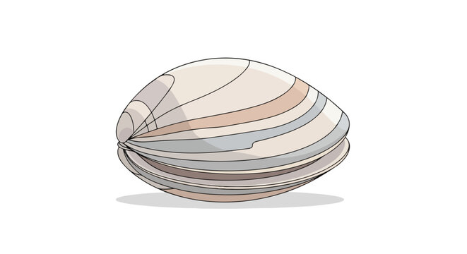 Detailed line art of a clam on a white background showcases the intricate shell patterns and elegant contours in a minimalist composition