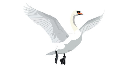 Obraz premium Elegant swan gracefully extends wings, preparing for flight against simple backdrop depicting freedom and serenity in nature illustration