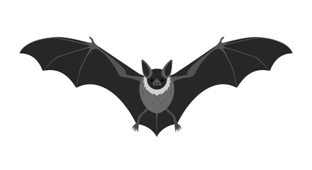 Obraz premium Stylized Gray Bat Illustration with Open Wings on White Background, a simplified graphic of a bat against a stark backdrop