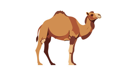 Stylized illustration of a dromedary camel standing isolated against a white background offering a clear and simplistic representation