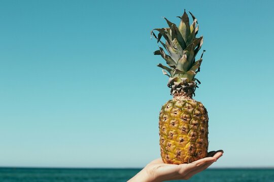 pineapple held on open palm at beach