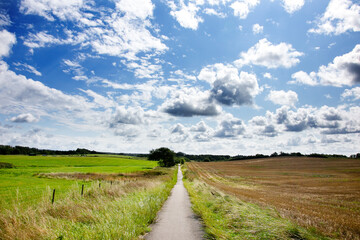 Rural cycle path through the forests and landscapes of southern Denmark