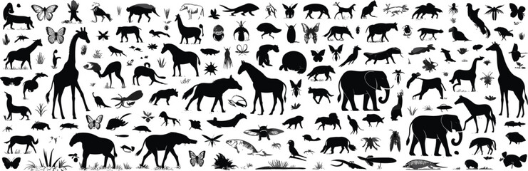 Vector silhouettes of African wildlife animals, insects, reptiles, birds, mammals, jungle and savanna nature, black isolated collection for design, logo, decoration, educational use