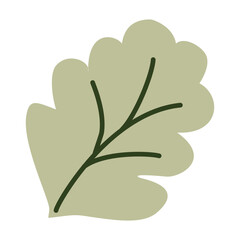 Fresh green cabbage and lettuce leaves, organic salad ingredients, healthy vegetarian food, farm-grown leafy greens, nutritious diet, plant-based eating. Vector illustration in flat style.