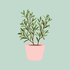 Illustration of a small green potted plant in a pink pot on a light blue background