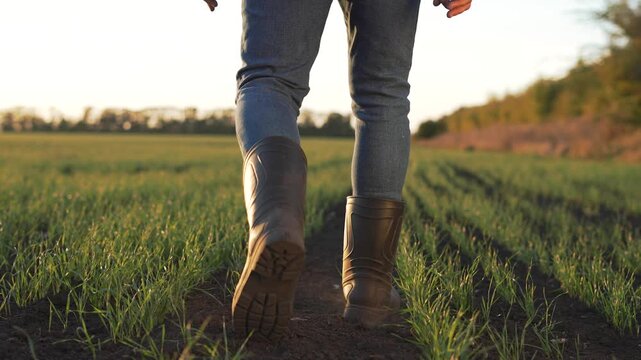Walking through green field at sunset person in boot and jeans walks along muddy path through young grass on farm with distant tree line warm light creating calm countryside outdoor lifestyle