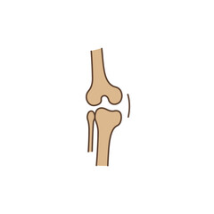 Simple line drawing of a human knee joint anatomy with cartilage and ligaments silhouette Flat design vector illustration isolated on a white background