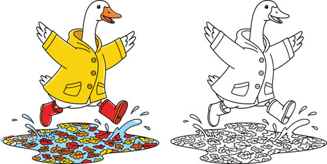 Cheerful Cartoon Goose Splashing in Autumn Puddle with Raincoat and Boots © AbuNazam