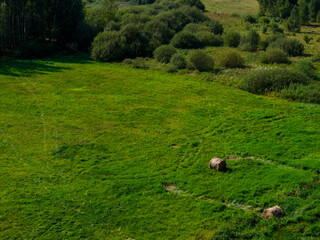 Partly abandoned meadows in autumn