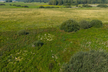 Partly abandoned meadows in autumn