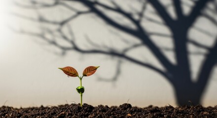 Resilience and rebirth symbolizing hope for future success with new growth against a backdrop of old challenges